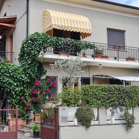 B&B Via Della Grotta Monsummano Terme Dış mekan fotoğraf